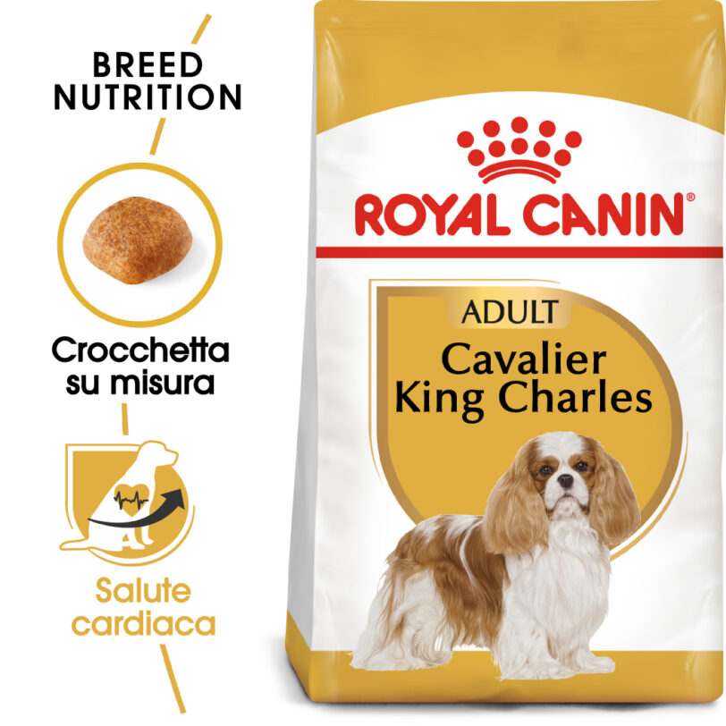 RC-BHN-CavalierKingCharles-MV-Eretailkit_-it_IT mollistar.it