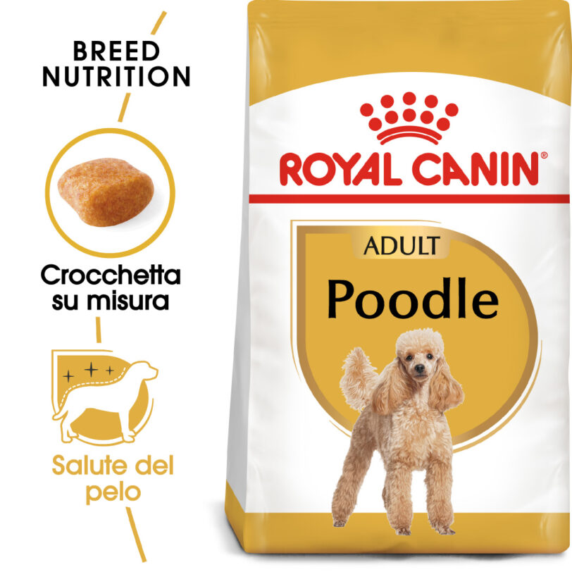 RC-BHN-Poodle-MV-Eretailkit_-it_IT mollistar.it