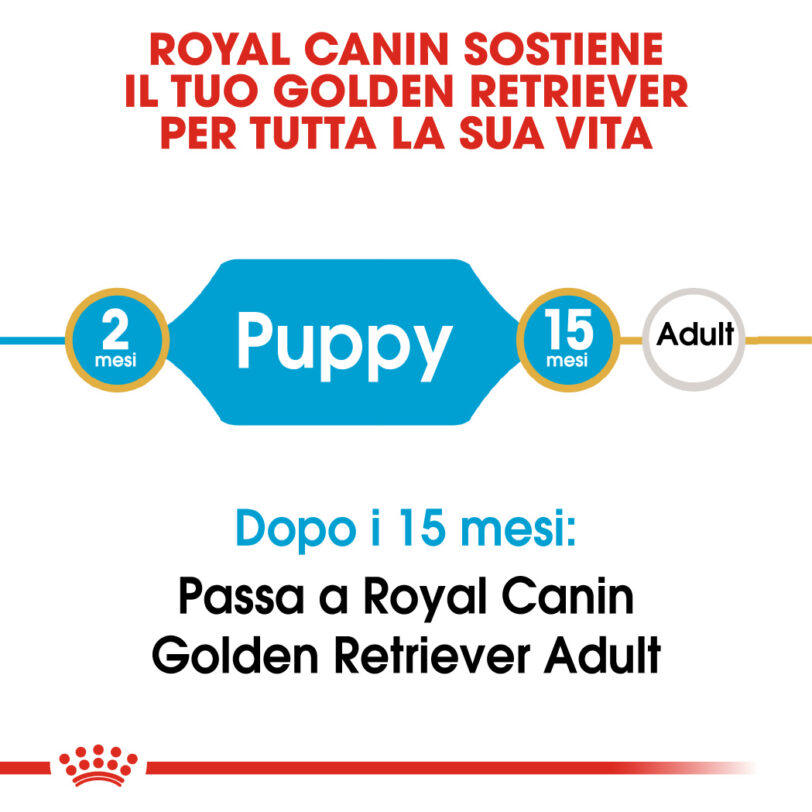 RC-BHN-PuppyGoldenRetriever-CM-EretailKit-1_-it_IT mollistar.it