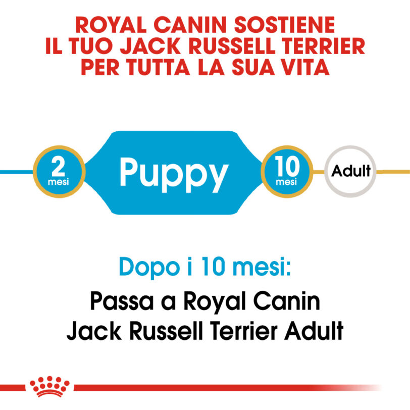 RC-BHN-PuppyJackRussell-CM-EretailKit-1_-it_IT (1) mollistar.it