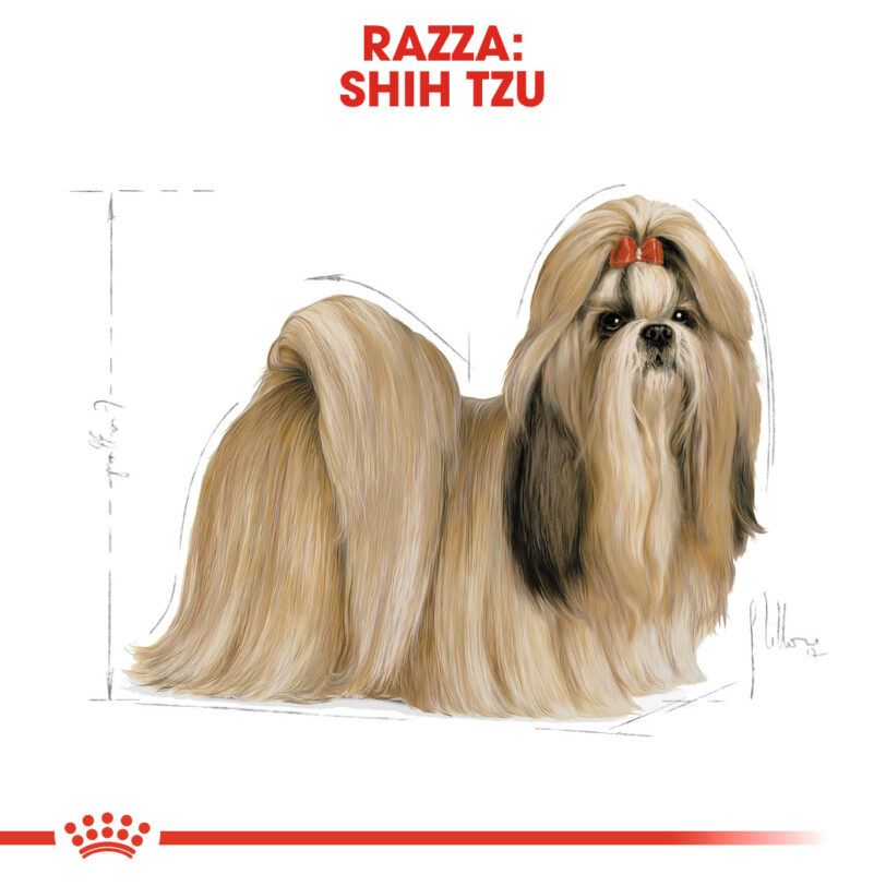 RC-BHN-ShihTzu-CV-Eretailkit-1_-it_IT mollistar.it