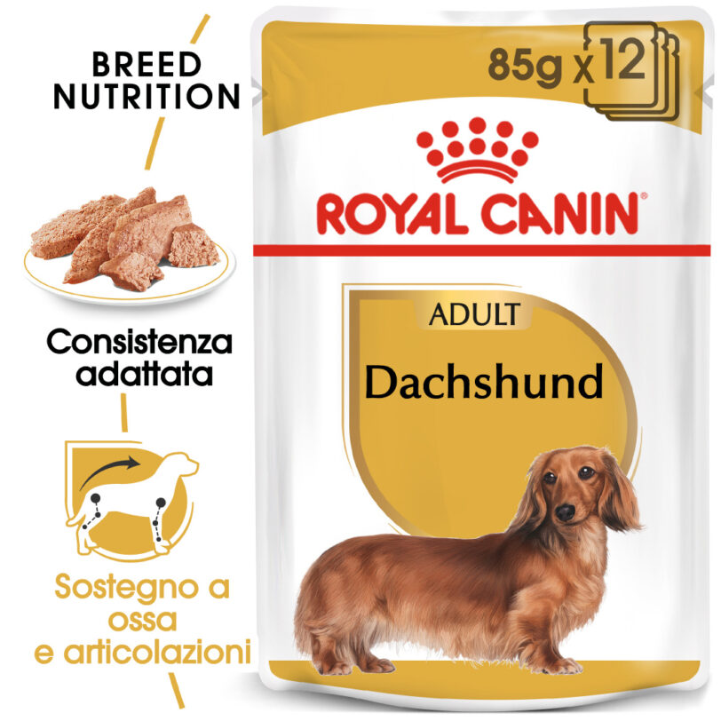 RC-BHN-Wet-Dachshund-MV-Eretailkit_-it_IT mollistar.it
