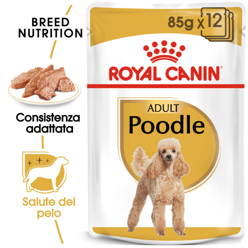 RC-BHN-Wet-Poodle-MV-Eretailkit_-it_IT mollistar.it