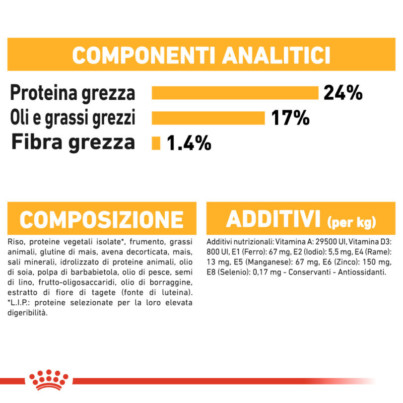RC-CCN-DermaMed-CV-Eretailkit-8_-it_IT mllistar.it