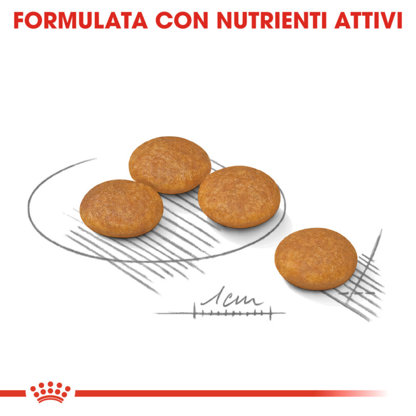 RC-CCN-DermaMini-CV-Eretailkit-5_-it_IT mollistar.it