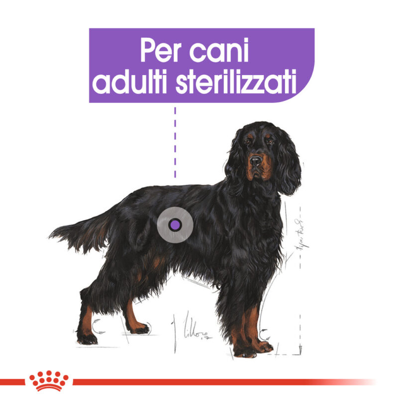 RC-CCN-SterilisedMaxi-CV-Eretailkit-2_-it_IT mollistar.it