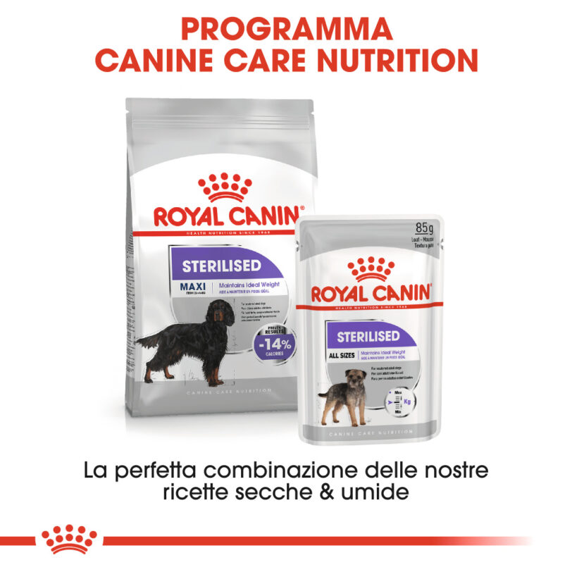 RC-CCN-SterilisedMaxi-CV-Eretailkit-6-it_IT mollistar.it