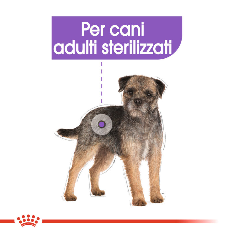 RC-CCN-SterilisedMini-CV-Eretailkit-2_-it_IT mollistar.it