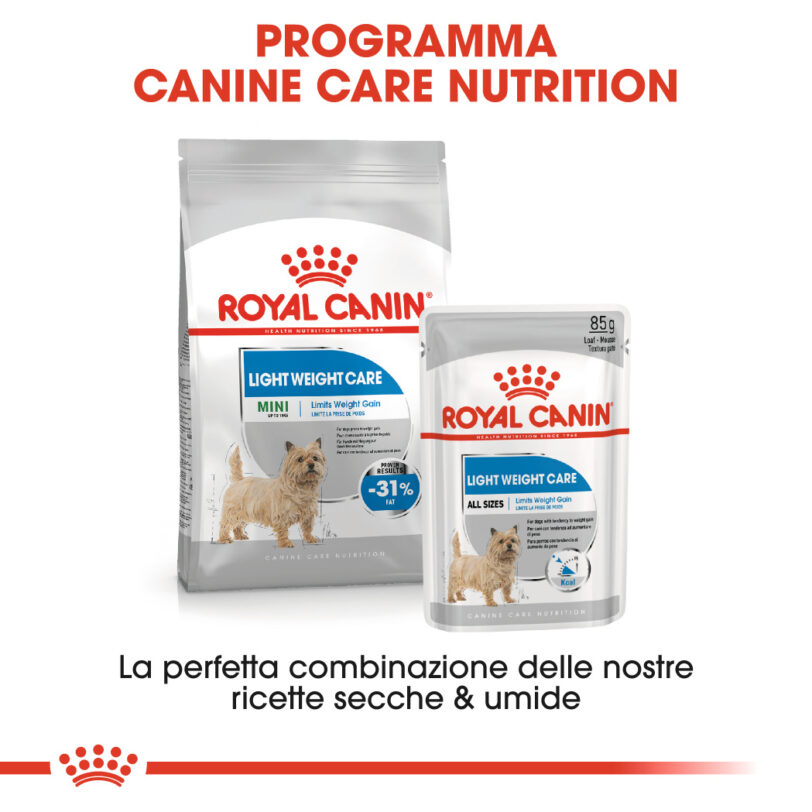 RC-CCN-Wet-LightWeight-CV-Eretailkit-4-it_IT mollistar.it