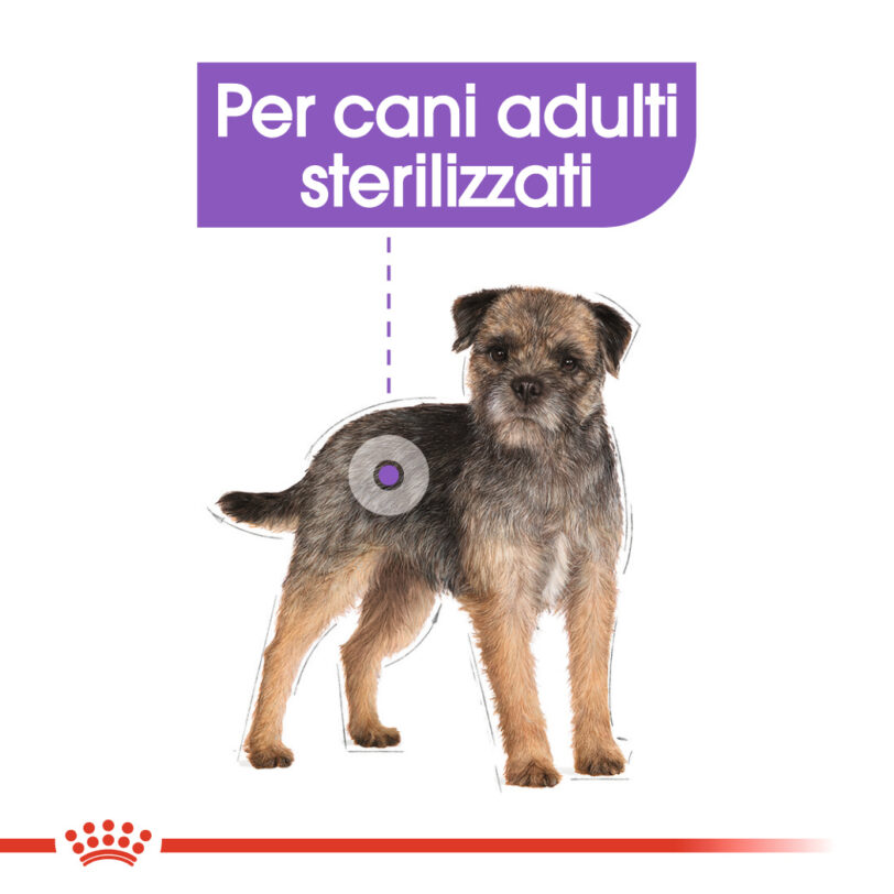 RC-CCN-Wet-Sterilised-CV-Eretailkit-1-it_IT mollistar.it