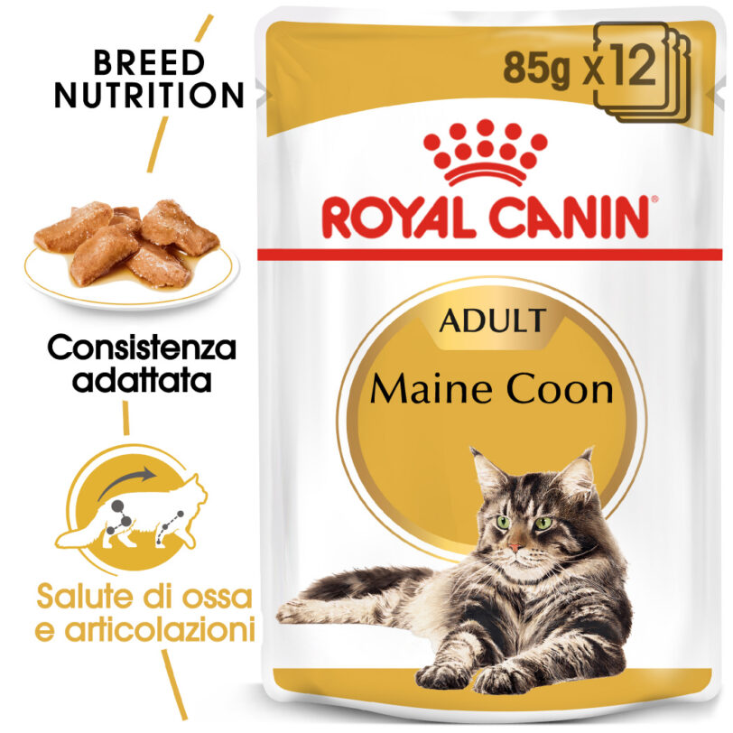 RC-FBN-Wet-MaineCoon-MV-Eretailkit_-it_IT mollistar.it