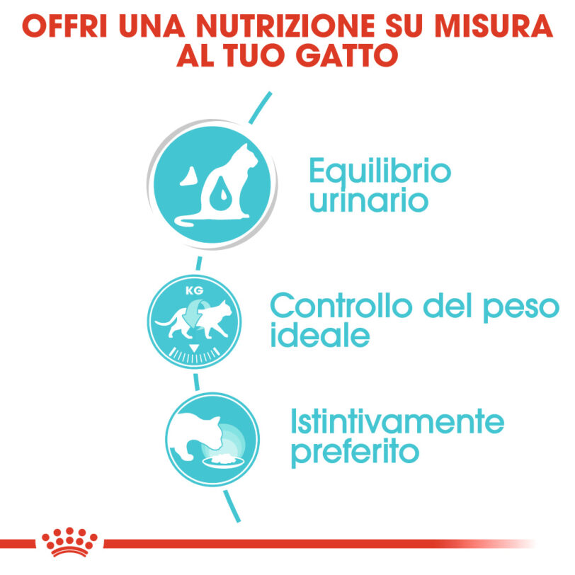 RC-FCN-Wet-UrinaryCareGravy-CV-Eretailkit-2_-it_IT mollistar.it