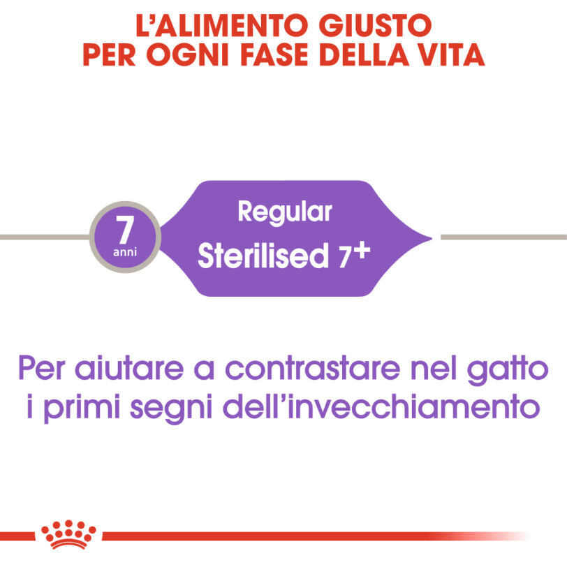 RC-FHN-Sterilised7-CV-Eretailkit-1_-it_IT mollistar.it