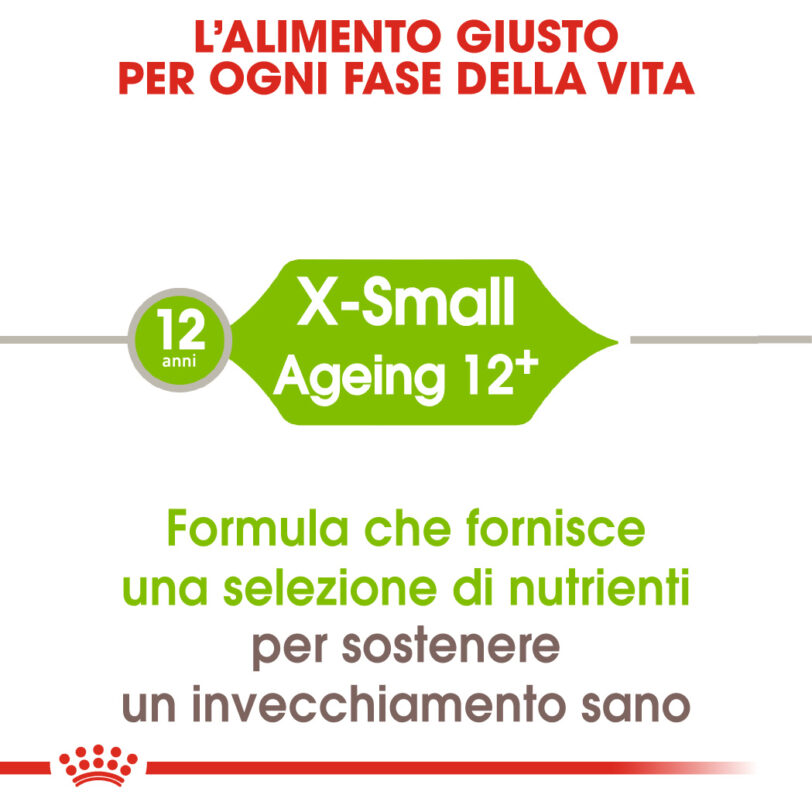 RC-SHN-AgeingXSmall-CV-EretailKit-1_-it_IT mollistar.it