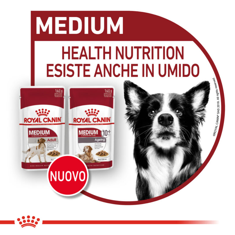 Royal Canin | Medium Ageing 10+ - immagine 9