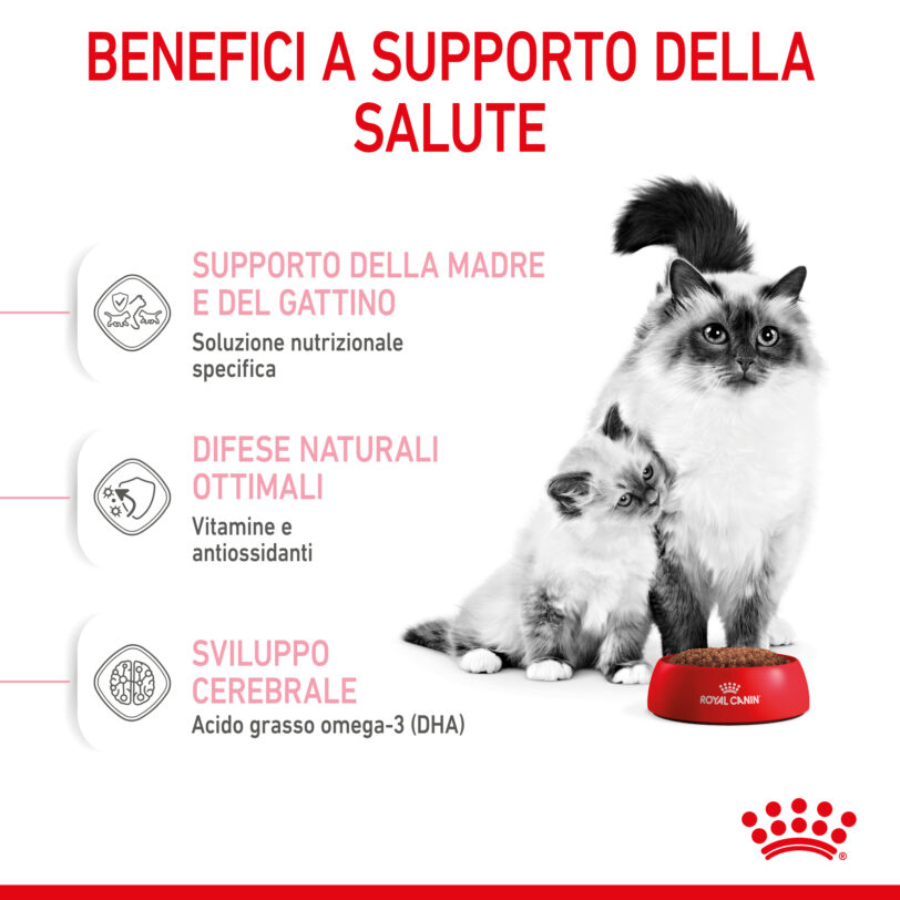 RC-SPT-DRY-Babycat-CV-3-it_IT mollistar.it
