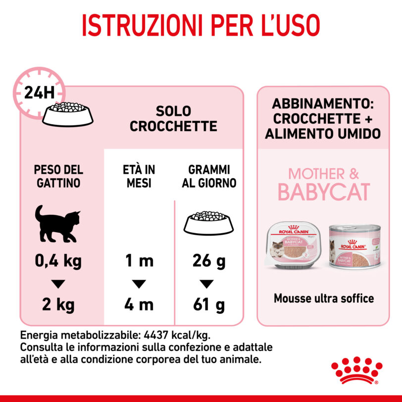 RC-SPT-DRY-Babycat-CV-7-it_IT mollistar.it
