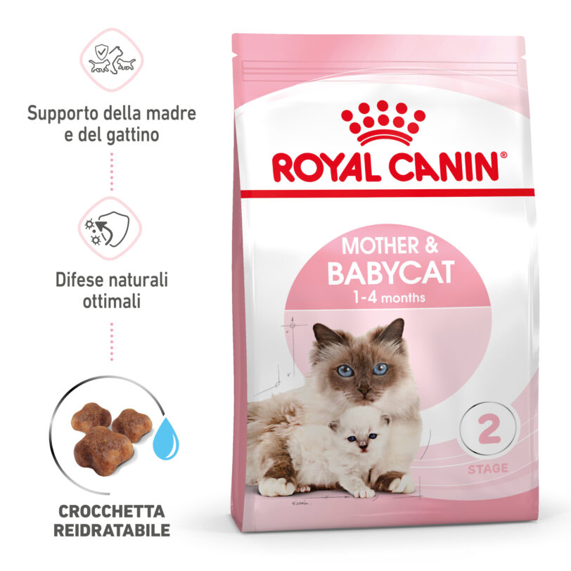 RC-SPT-DRY-Babycat-MV-1-it_IT mollistar.t