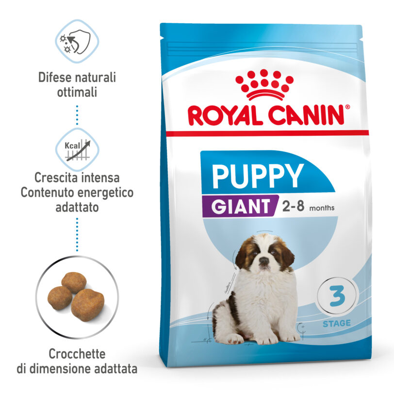 RC-SPT-DRY-GiantPuppy-MV-1-it_IT mollistar.it