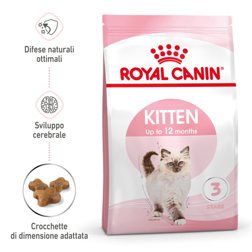 RC-SPT-DRY-Kitten-MV-1-it_IT mollistar.it