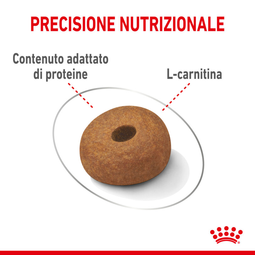 Royal Canin | Maxi Light Weight Care Secco - immagine 5