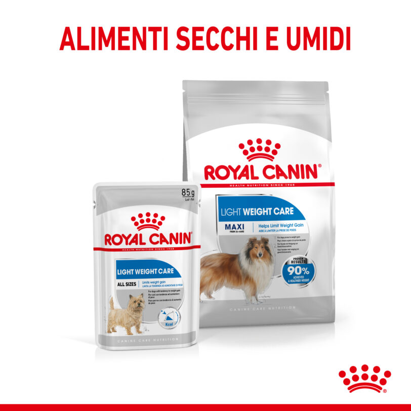 Royal Canin | Maxi Light Weight Care Secco - immagine 8