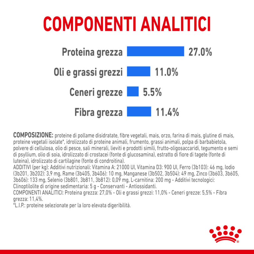 RC-SPT-DRY-LightWeightMAXI-CV-5-it_IT mollistar.it