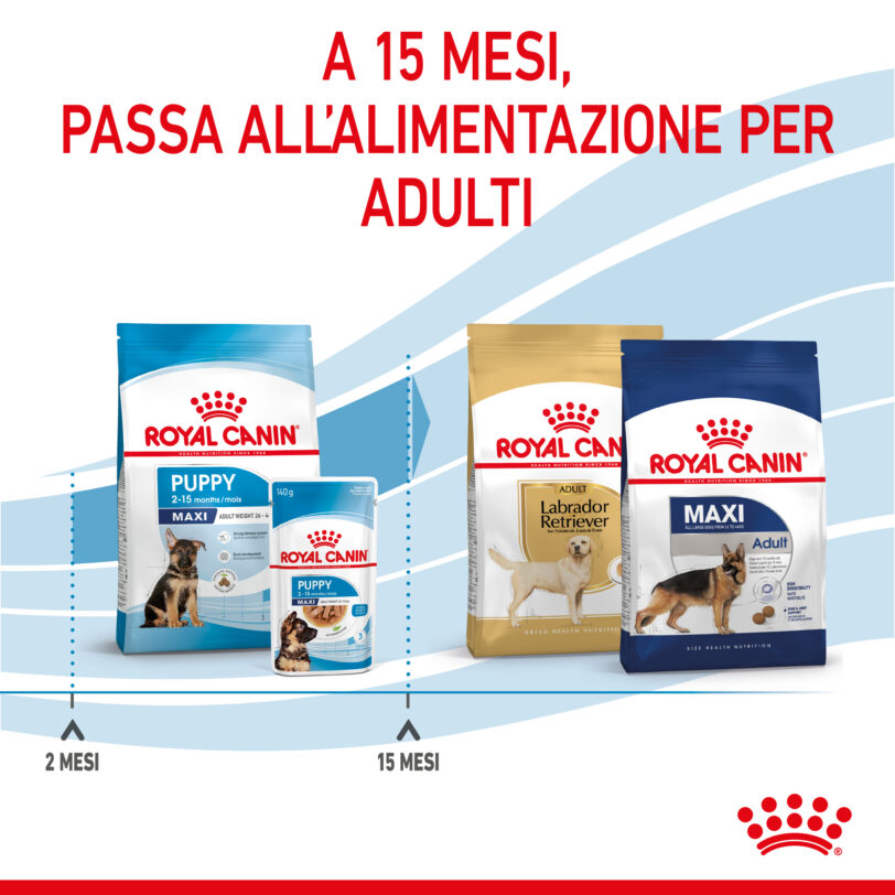 RC-SPT-DRY-MaxiPuppy-CV-5-it_IT mollistar.it