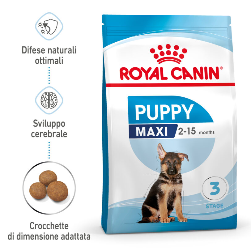 RC-SPT-DRY-MaxiPuppy-MV-1-it_IT mollistar.it