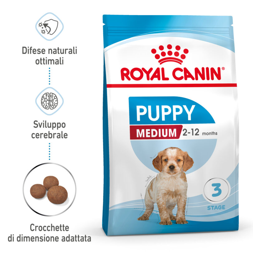 RC-SPT-DRY-MediumPuppy-MV-1-it_IT mollistar.it
