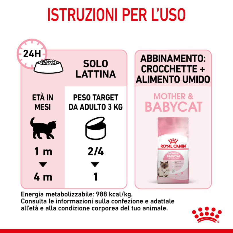 RC-SPT-WET-Babycat-CAN-CV-7-it_IT mollistar.it