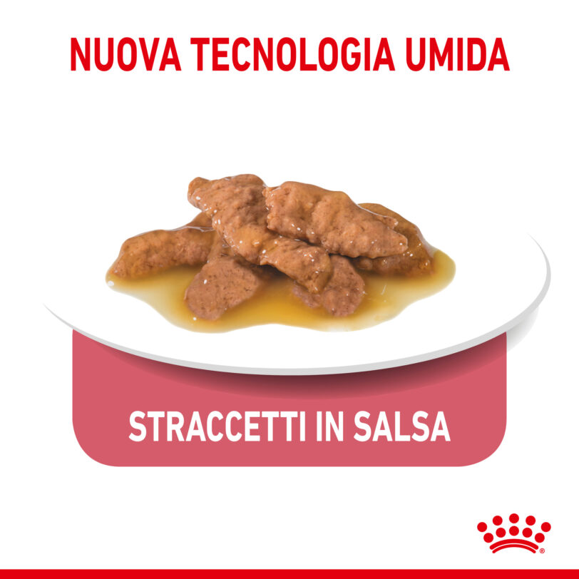 RC-SPT-WET-IndSterGravy-CV-3-it_IT mollistar.it