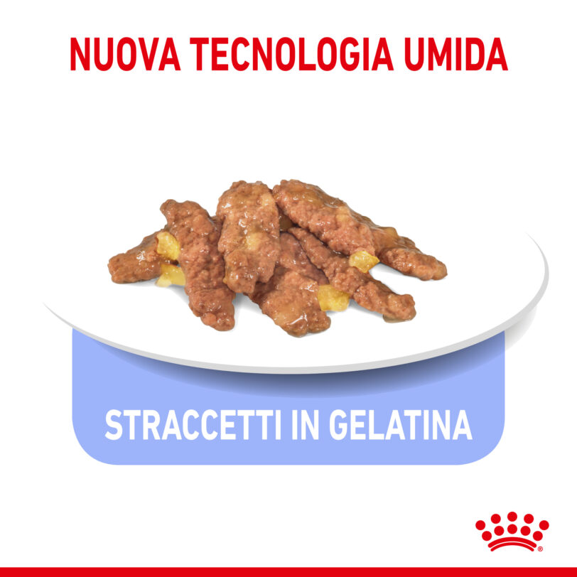 RC-SPT-WET-IndSterJelly-CV-3-it_IT mollistar.it