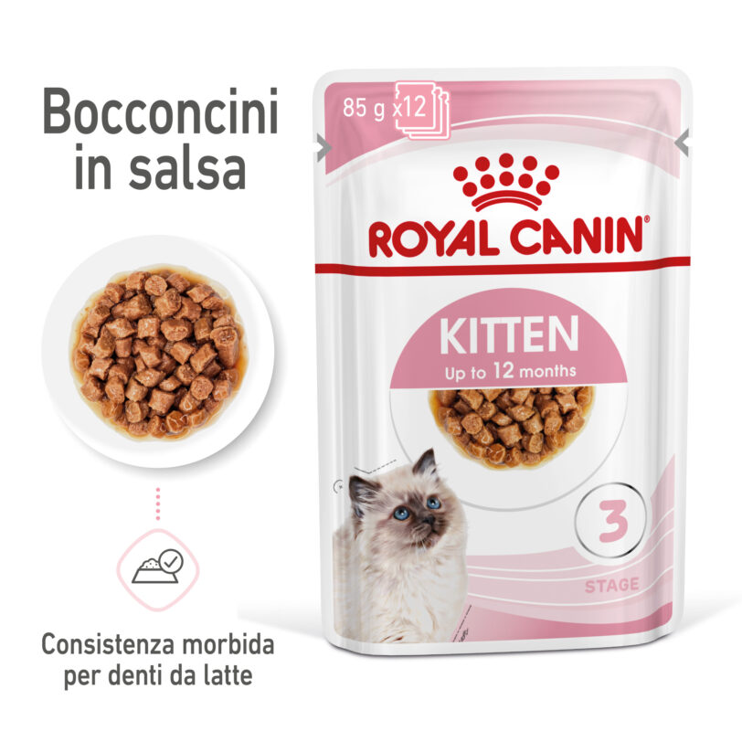 RC-SPT-WET-Kitten-CIG-MV-1-it_IT mollistar.it