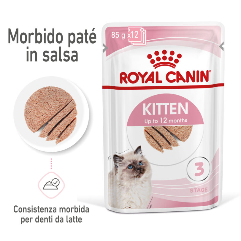 RC-SPT-WET-Kitten-LOAF-MV-1-it_IT (1) mollistar.it