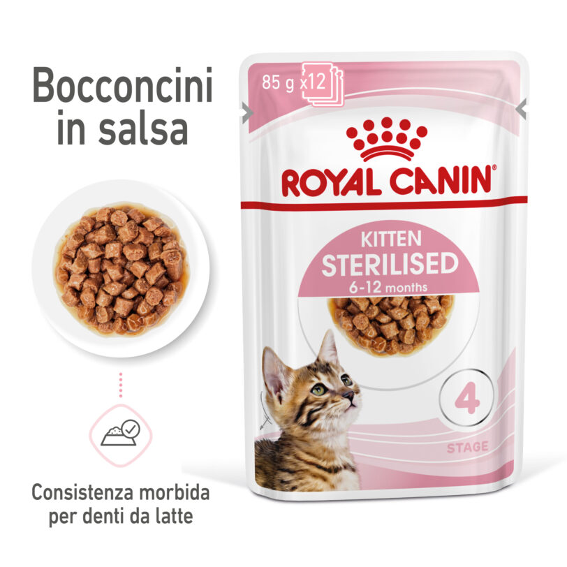 RC-SPT-WET-KittenSter-CIG-MV-1-it_IT mollistar.it