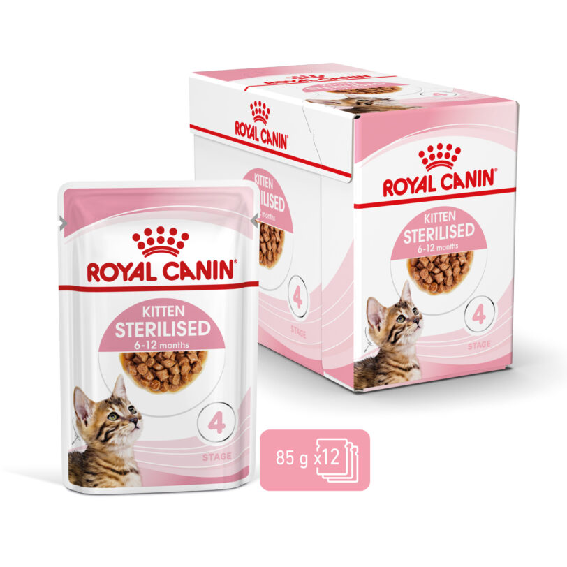 RC-SPT-WET-KittenSter-CIG-MV-2-it_IT mollistar.it
