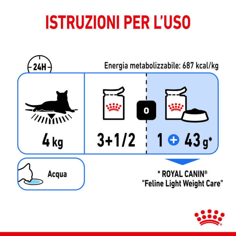 RC-SPT-WET-LightWeightJelly-CV-6-it_IT mollistar.it