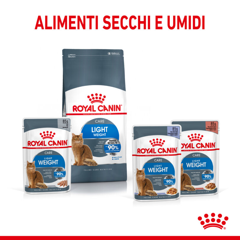 RC-SPT-WET-LightWeightLoaf-CV-4-it_IT mollistar.it