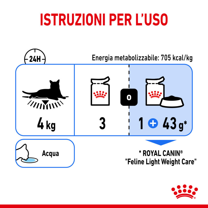 RC-SPT-WET-LightWeightLoaf-CV-6-it_IT mollistar.it