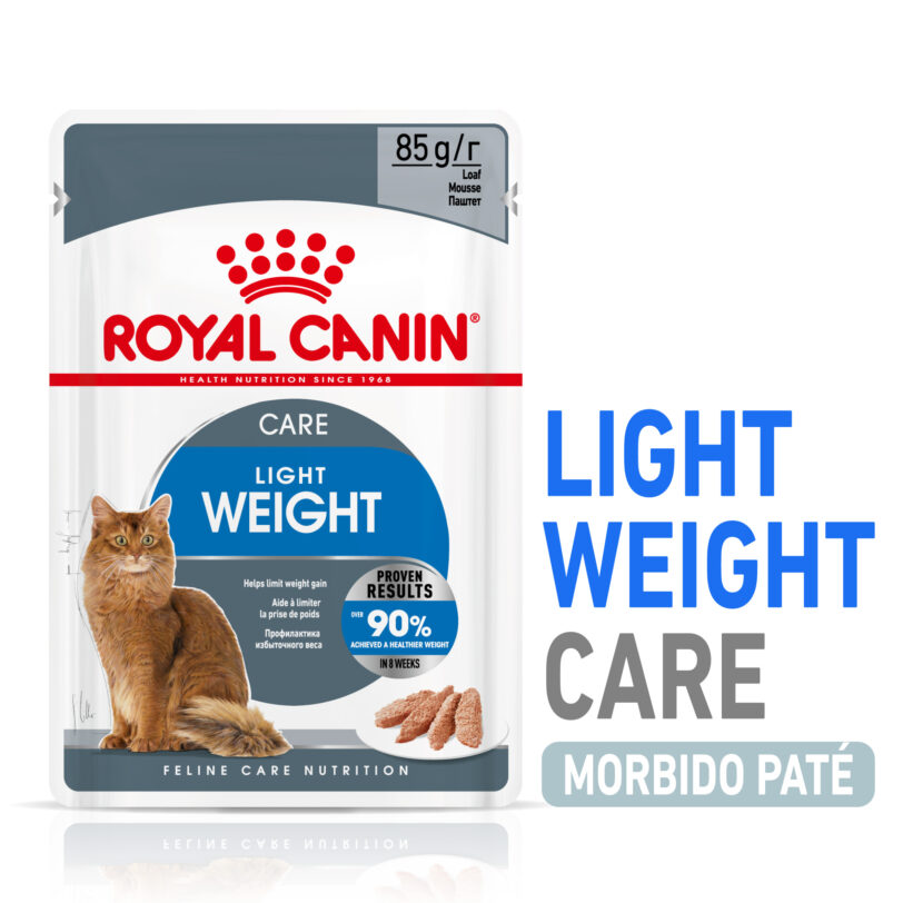 RC-SPT-WET-LightWeightLoaf-MV-1-it_IT mollistar.it