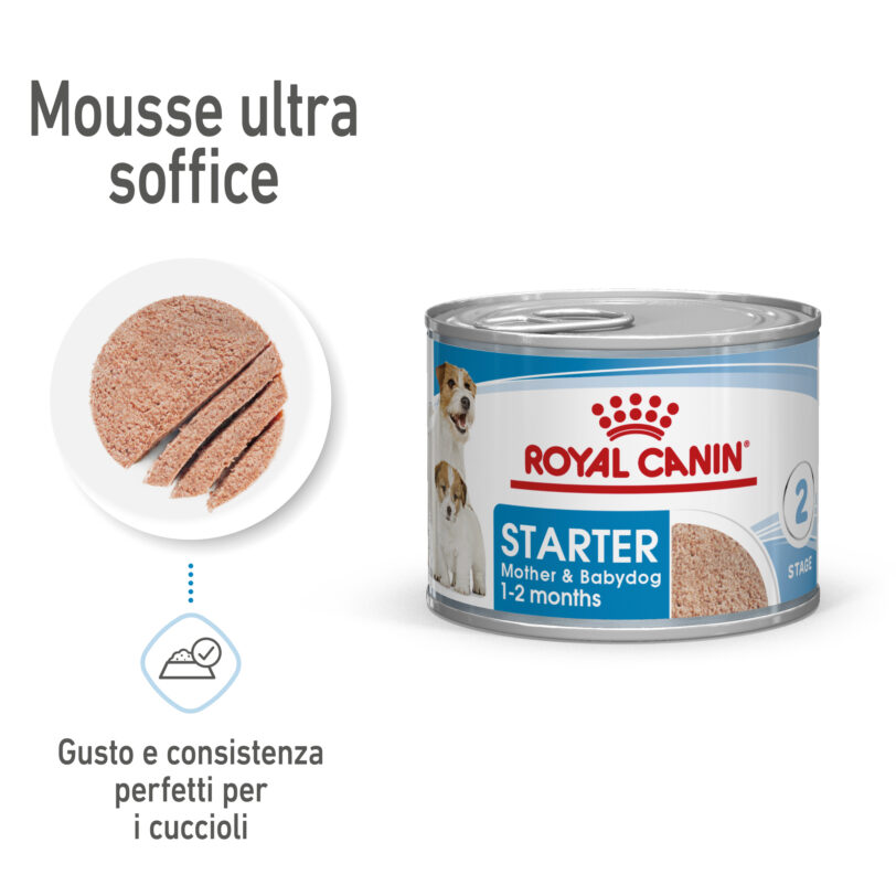 RC-SPT-WET-StarterMousse-CAN-MV-1-it_IT mollistar.it