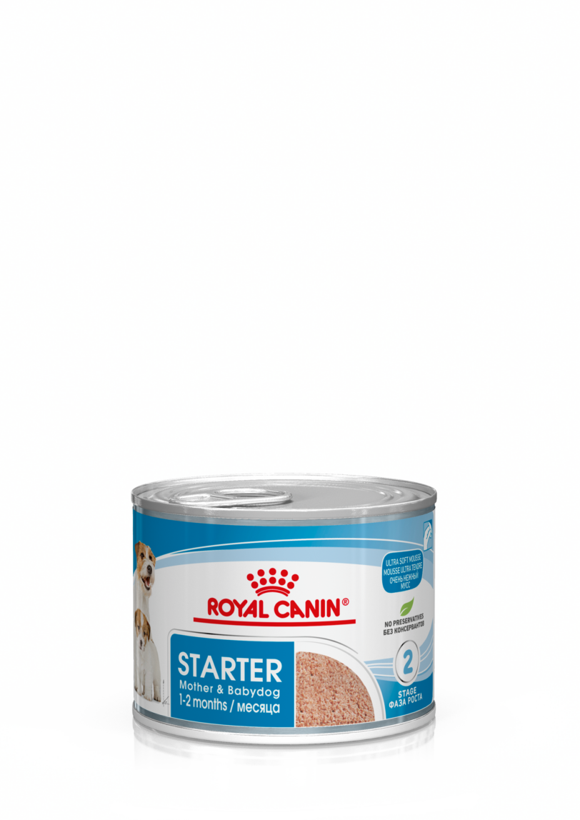 Royal Canin | STARTER Mother & Babydog – Mousse ultra soffice mollistar.it