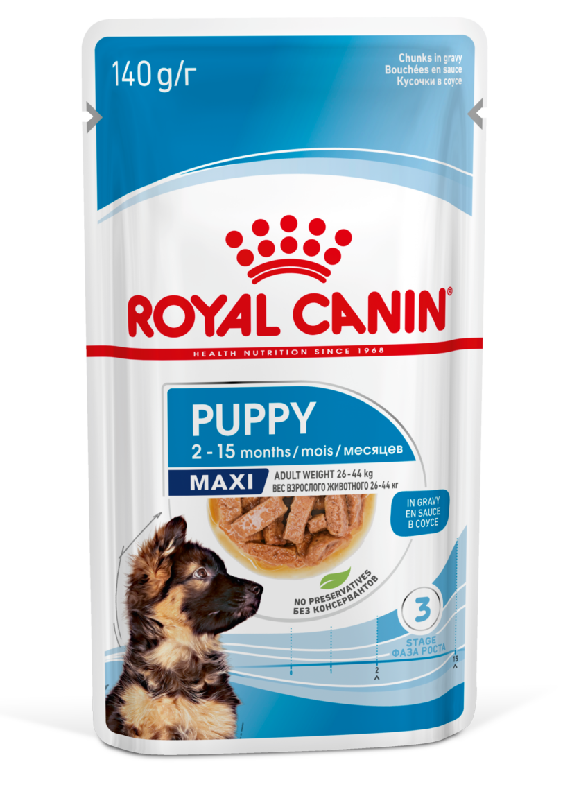 Royal Canin | PUPPY - MAXI - Bocconcini in salsa mollistar.it