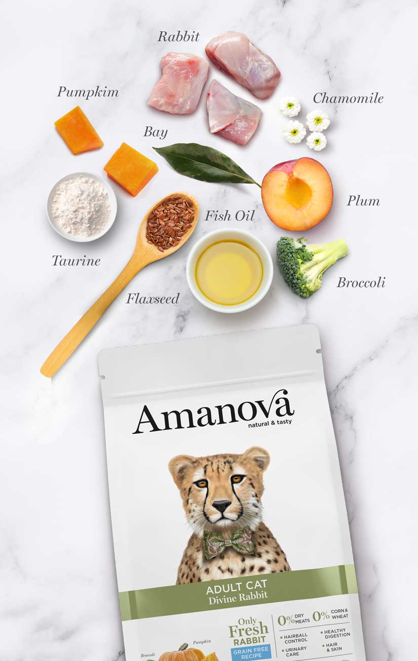 Amanova | Adult Cat Divine Rabbit - immagine 6