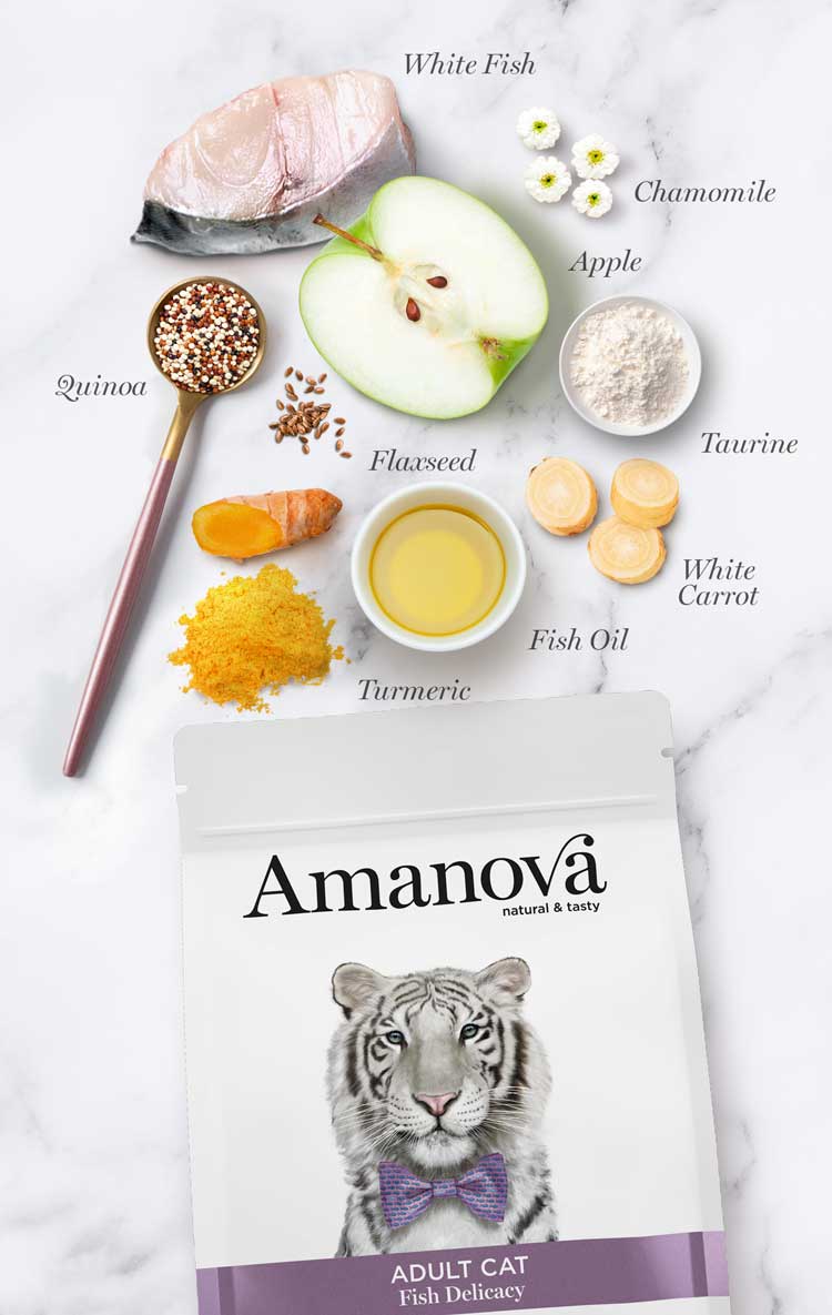 Amanova | Adult Cat Fish Delicacy - immagine 5