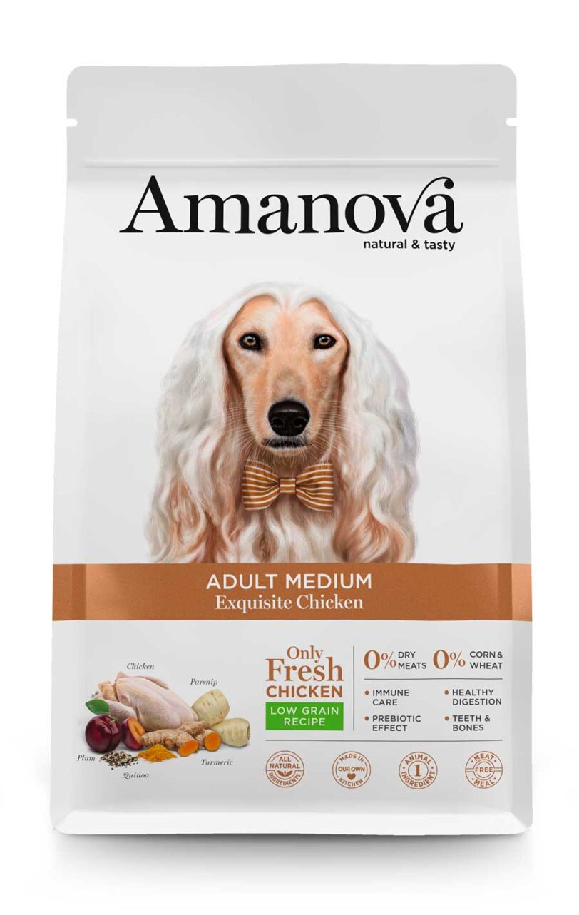 Amanova | Adult Medium Exquisite Chicken