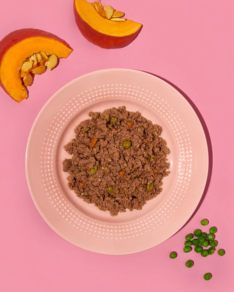Amanova | Adult Tasty Salmon Turkey Dog Wet P06 - immagine 5