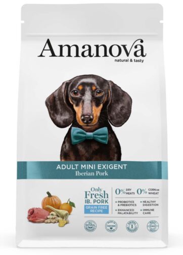 Amanova | Adult Mini Exigent Iberian Pork